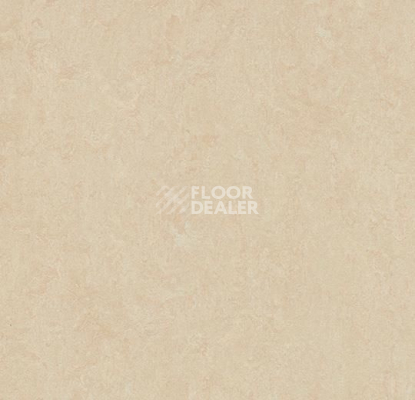 Линолеум Forbo Marmoleum Marbled Fresco 3861-386135 Arabian pearl фото 1 | FLOORDEALER